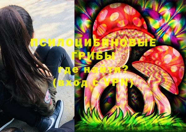 спиды Арсеньев