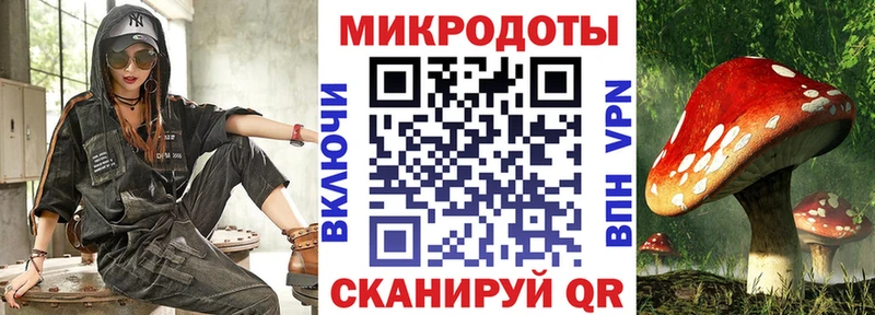 Псилоцибиновые грибы Psilocybine cubensis  Семикаракорск 